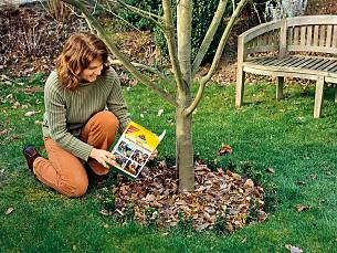 Herbstlaub schützt den Boden. Ein Kompost-Beschleuniger (Radivit, Neudorff) fördert den Umbau in Nährstoffe bis zum Frühling.