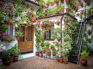 Spanien gärtnert rund ums Haus ohne Beet. Die bevorzugte Geranien-Blütenfarbe ist leuchtendes Scharlachrot.