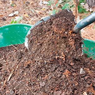 Bild 4: Verrottete Komposterde als Dünger für die Baumscheibe