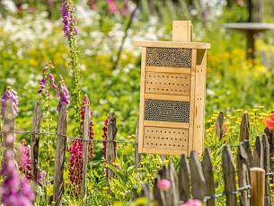 Solides Bienenhaus mit Hartholz und Pappröhrchen.