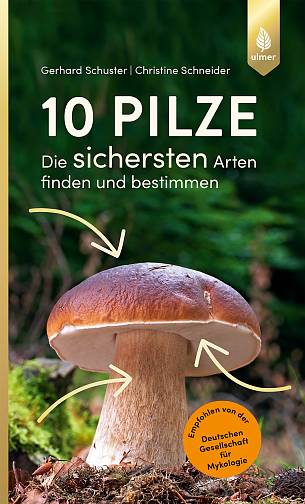 Buch-Tipp: 10 Pilze: Die sichersten Arten finden und bestimmen