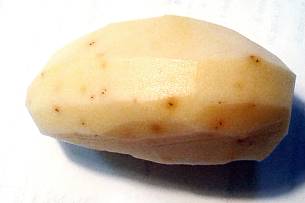 Die Larven der Drahtwürmer fressen in der Regel an Gemüsepflanzen, gerade bei trockenem Wetter wandern sie aber auch gerne in die feuchte Knolle einer Kartoffel.