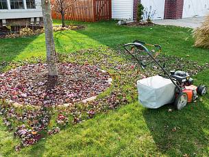 Geschickt: Herbstlaub mit dem Rasenmäher einsammeln. Dann ist es gleich schön zerkleinert für den Kompost.