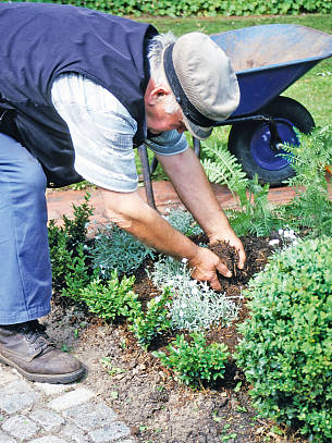 Rindenhumus oder Reifekompost verbessert den Boden.
