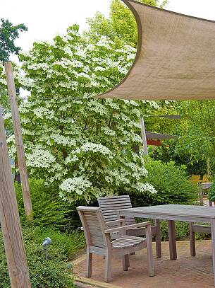 An diesem Sitzplatz steht der malerische Blumen-Hart­riegel als grüner Wächter zur Seite. Ein Sonnensegel bietet Schutz von oben.