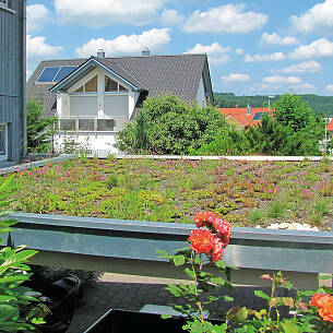 Die extensive Bepflanzung eignet sich für Garagen, schräge Dächer, Gartenhäuser oder Flachdächer.