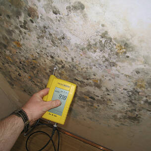Schimmelpilze wachsen auf feuchten Flächen. Bei massiven Wänden aus Mauerwerk oder Beton braucht man meist spezielle Messgeräte um die Feuchtigkeit zu ­erkennen.