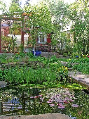Ein naturnah angelegter Teich schafft im Garten eine besondere Atmosphäre und einen neuen vielfältigen Lebensraum für Flora und Fauna.