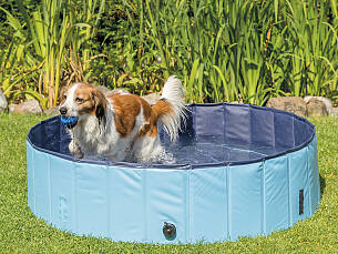 Hunde können sich nicht durch Schwitzen abkühlen, deshalb ist ein Hundepool (z. B. von Trixie) im Sommer ideal zum Erfrischen.