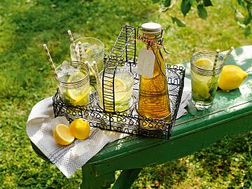 Servieren Sie die Limonade mit Eiswürfeln, frischen Zitronenscheiben und Zitronenmelisseblättchen.