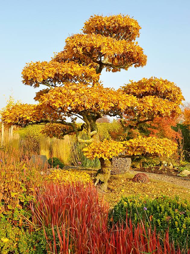 Der Herbst von seiner farbenfrohen Seite