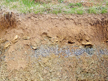 Bodenprofil: Bodendecke (Pflanzen/Pflanzenreste) – Oberboden (Mutterboden) – Unterboden (Mineralschicht)