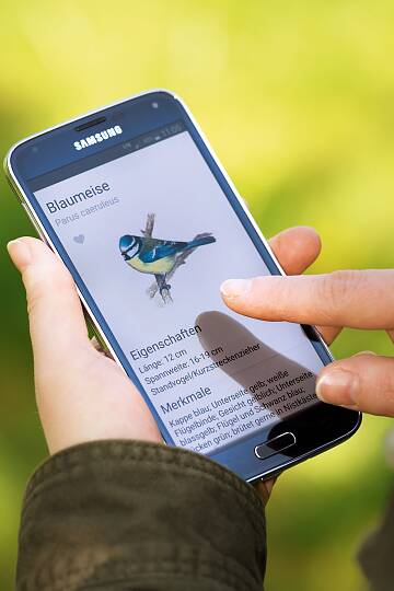 Die NABU-App ist ideal, um sich über heimische Vögel zu informieren und Vögel selber zu bestimmen.