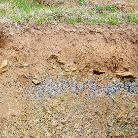 Bodenprofil: Bodendecke (Pflanzen/Pflanzenreste) – Oberboden (Mutterboden) – Unterboden (Mineralschicht)